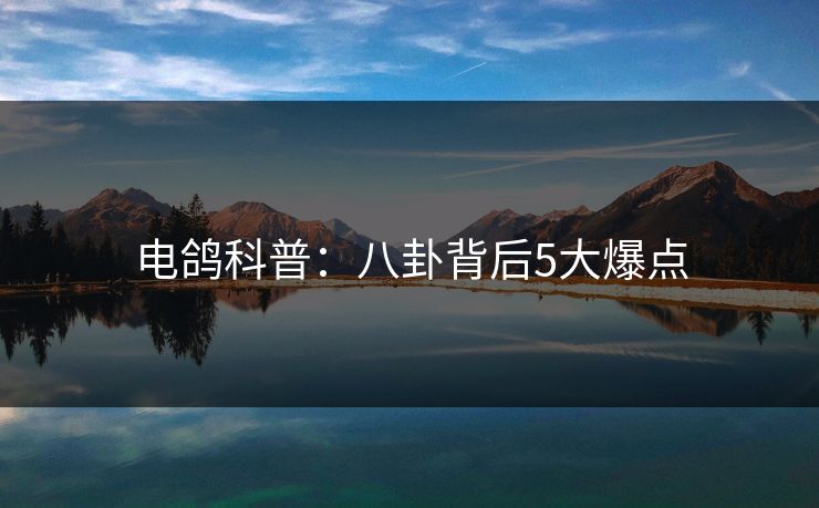 电鸽科普：八卦背后5大爆点