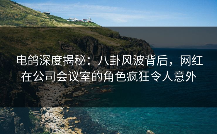 电鸽深度揭秘：八卦风波背后，网红在公司会议室的角色疯狂令人意外